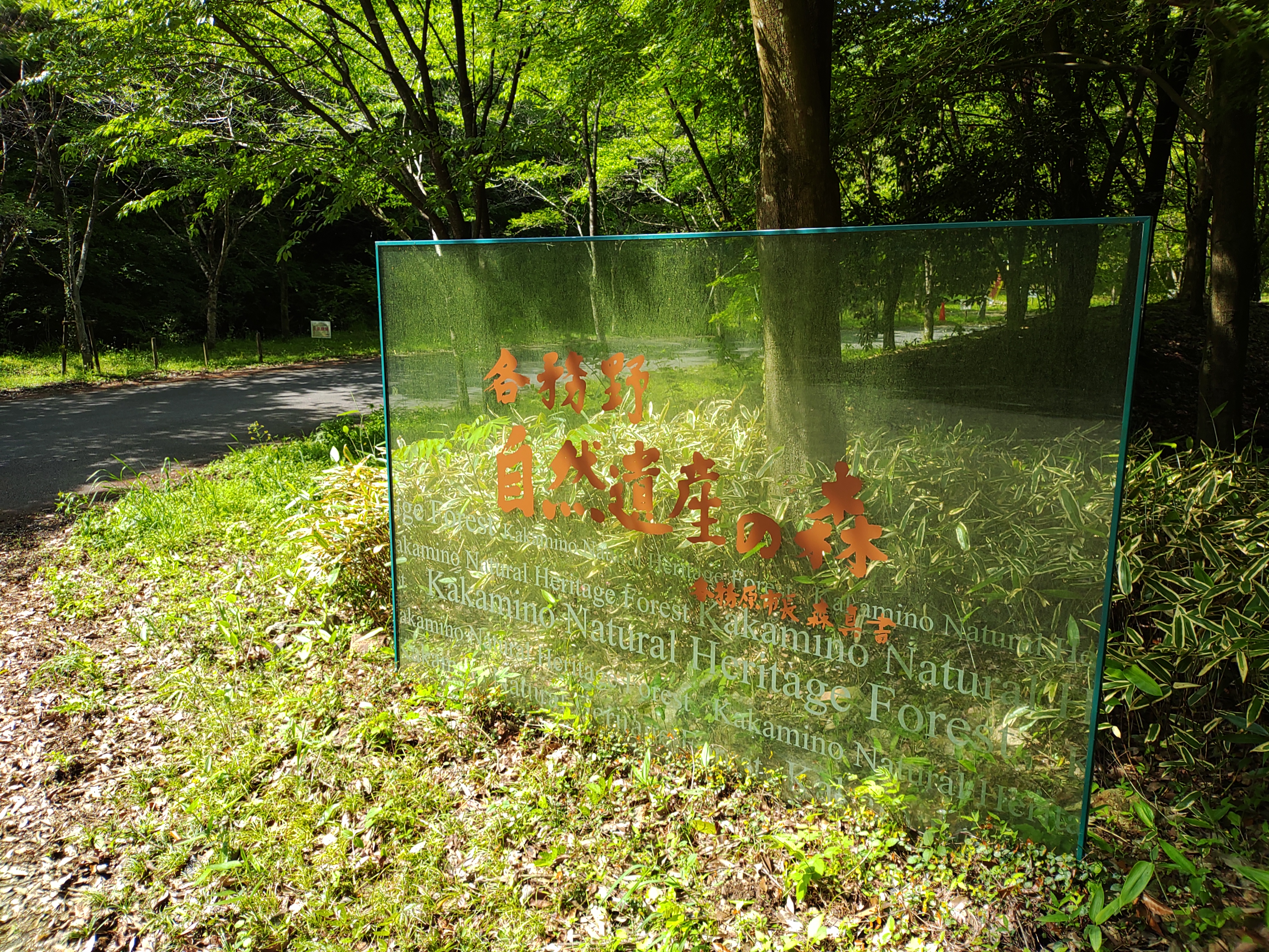 各務野自然遺産の森の画像