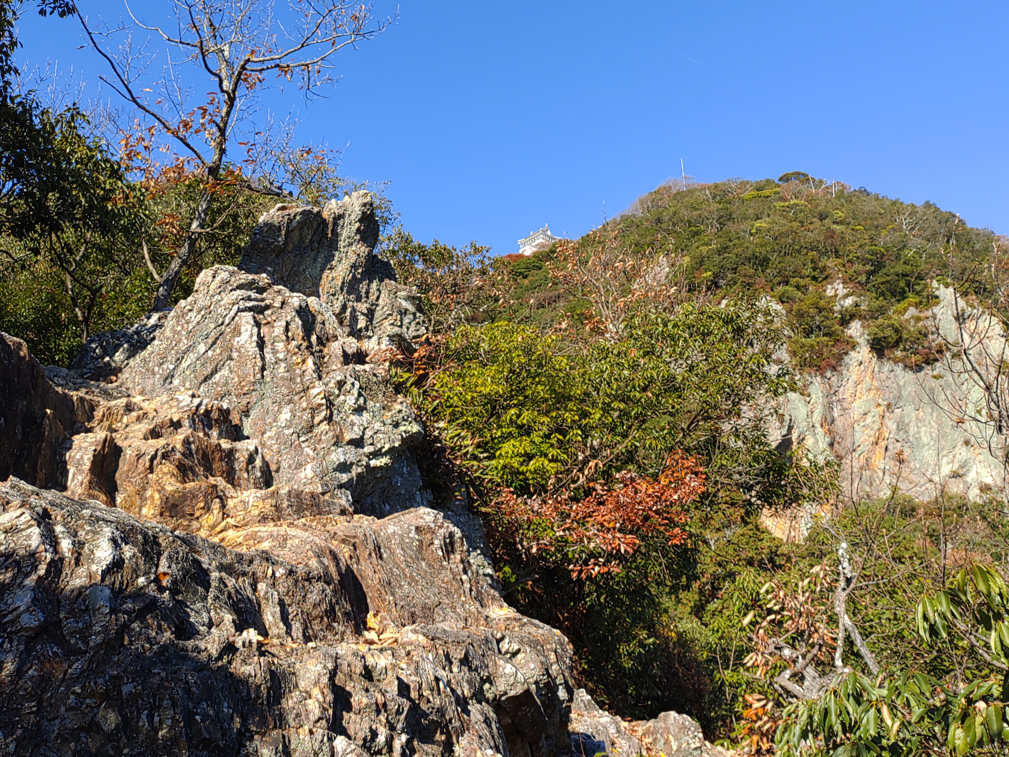 金華山 part2の画像