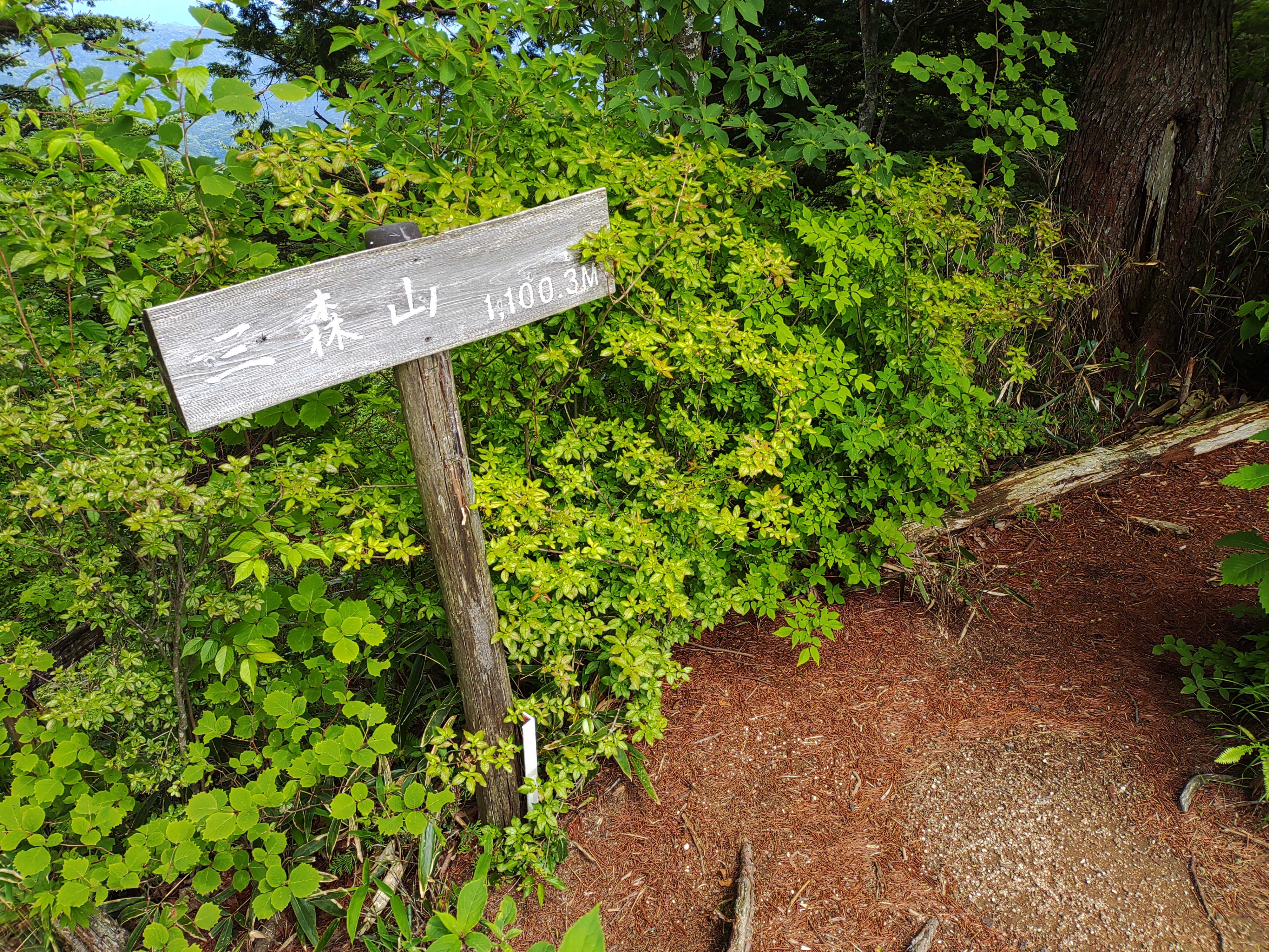 三森山の画像