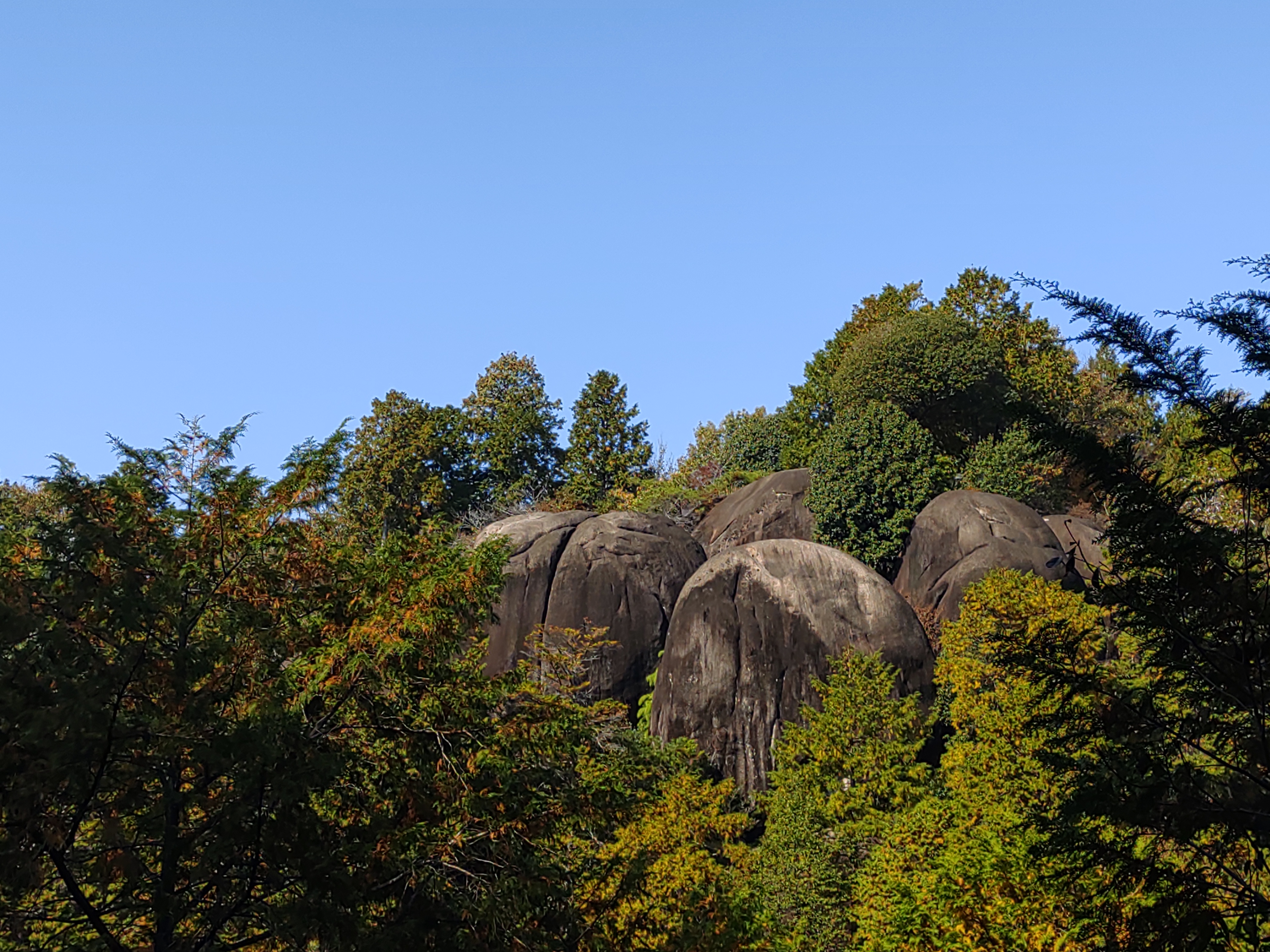 鬼岩公園の画像