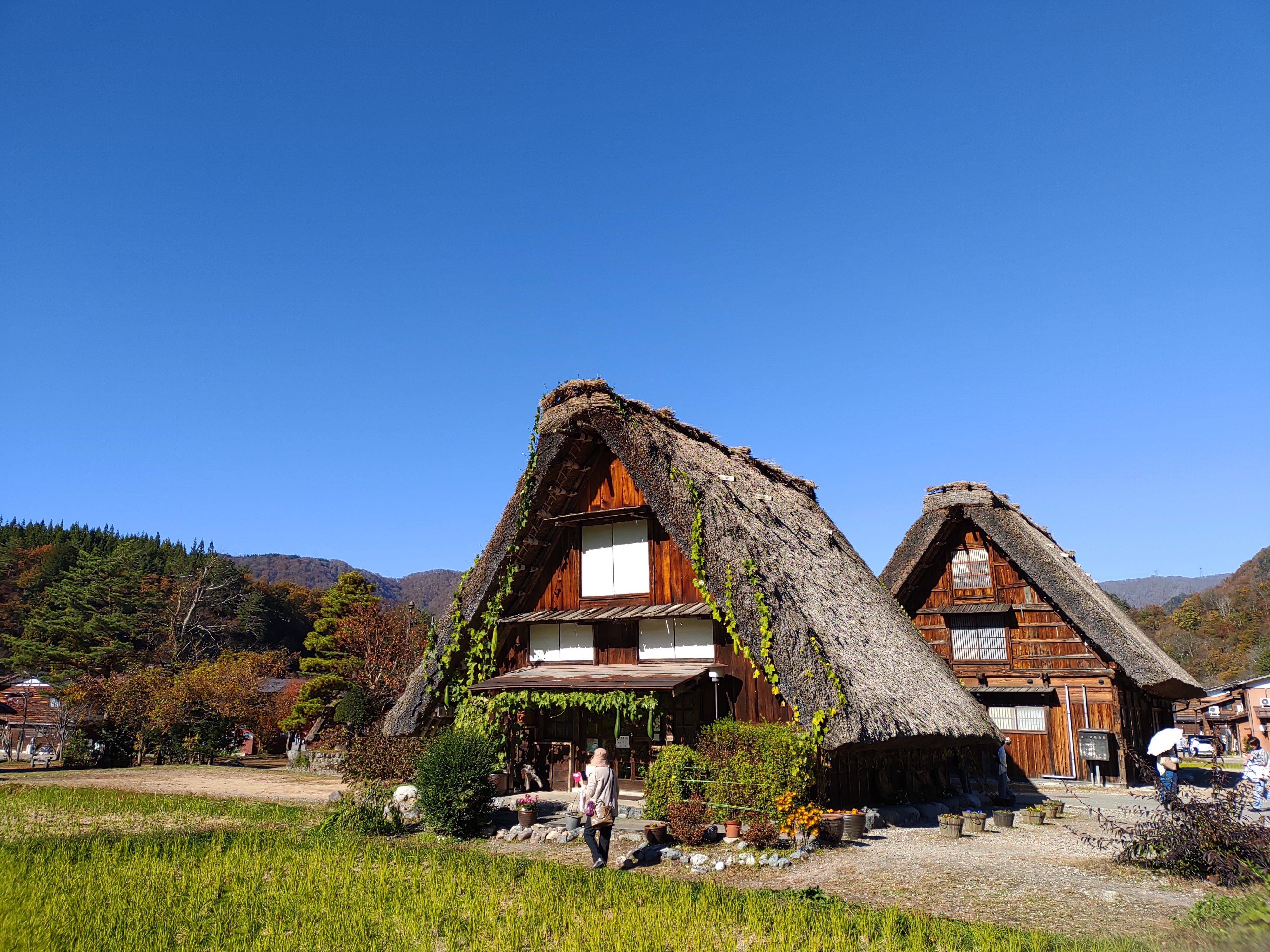 白川郷の画像