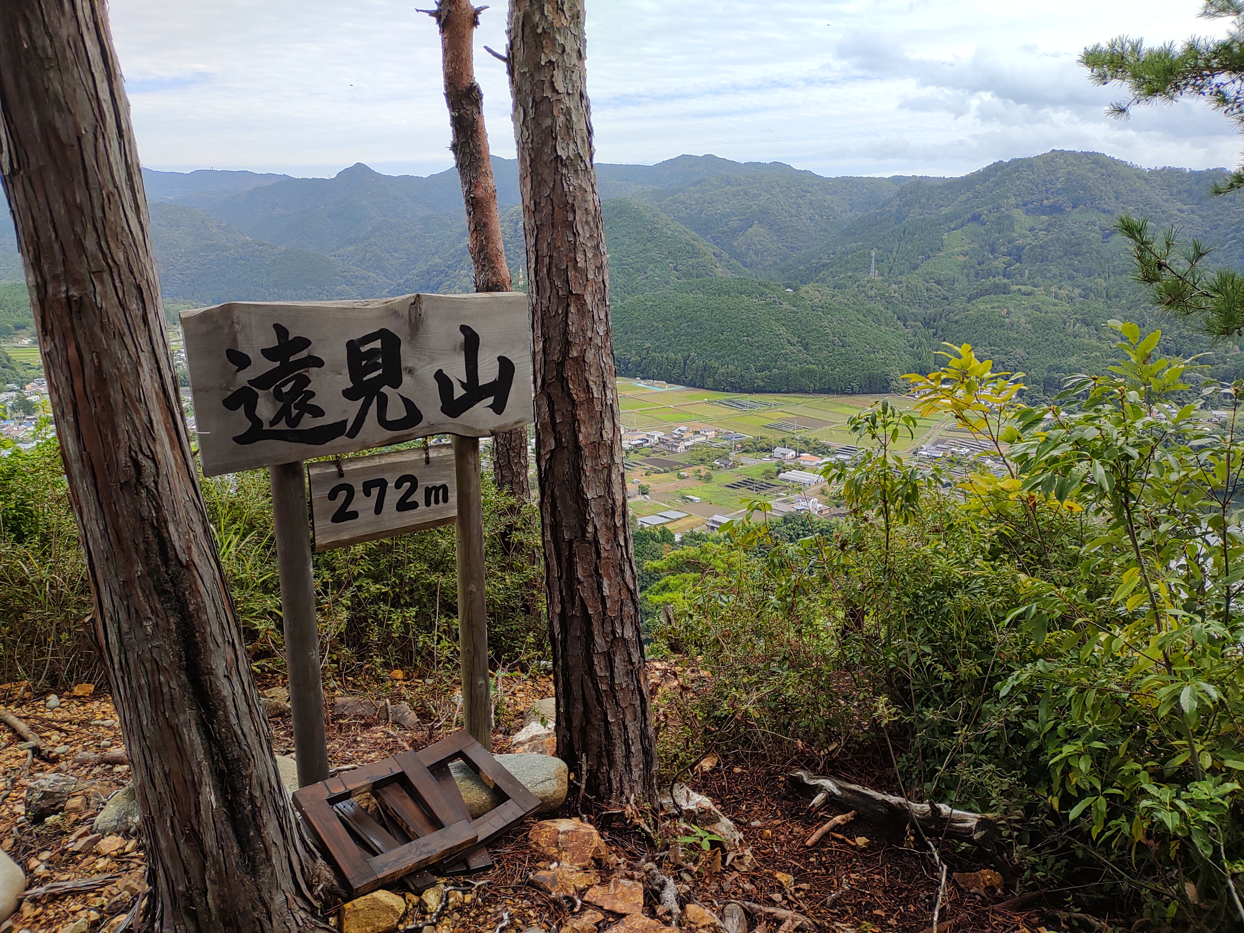 遠見山の画像