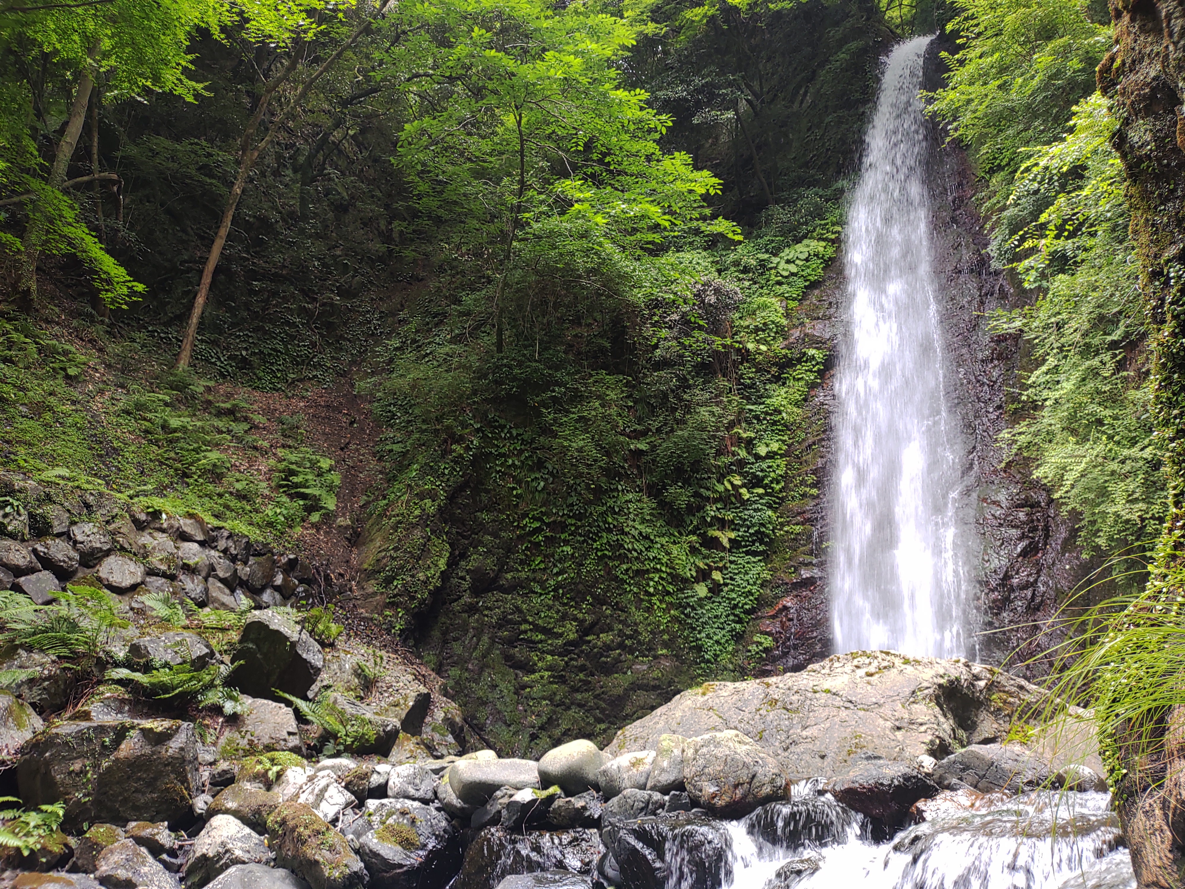 養老の滝の画像