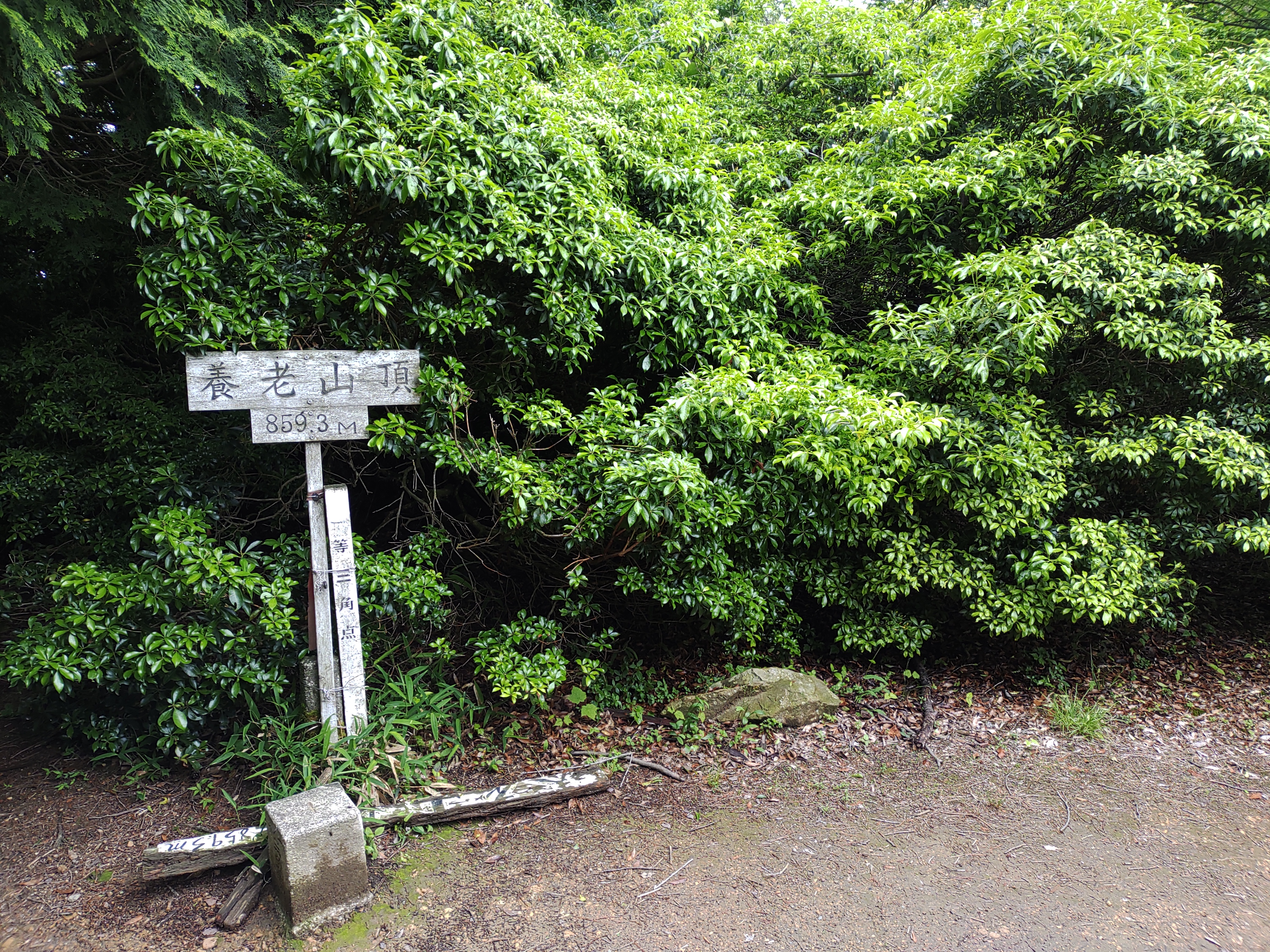 養老山の画像