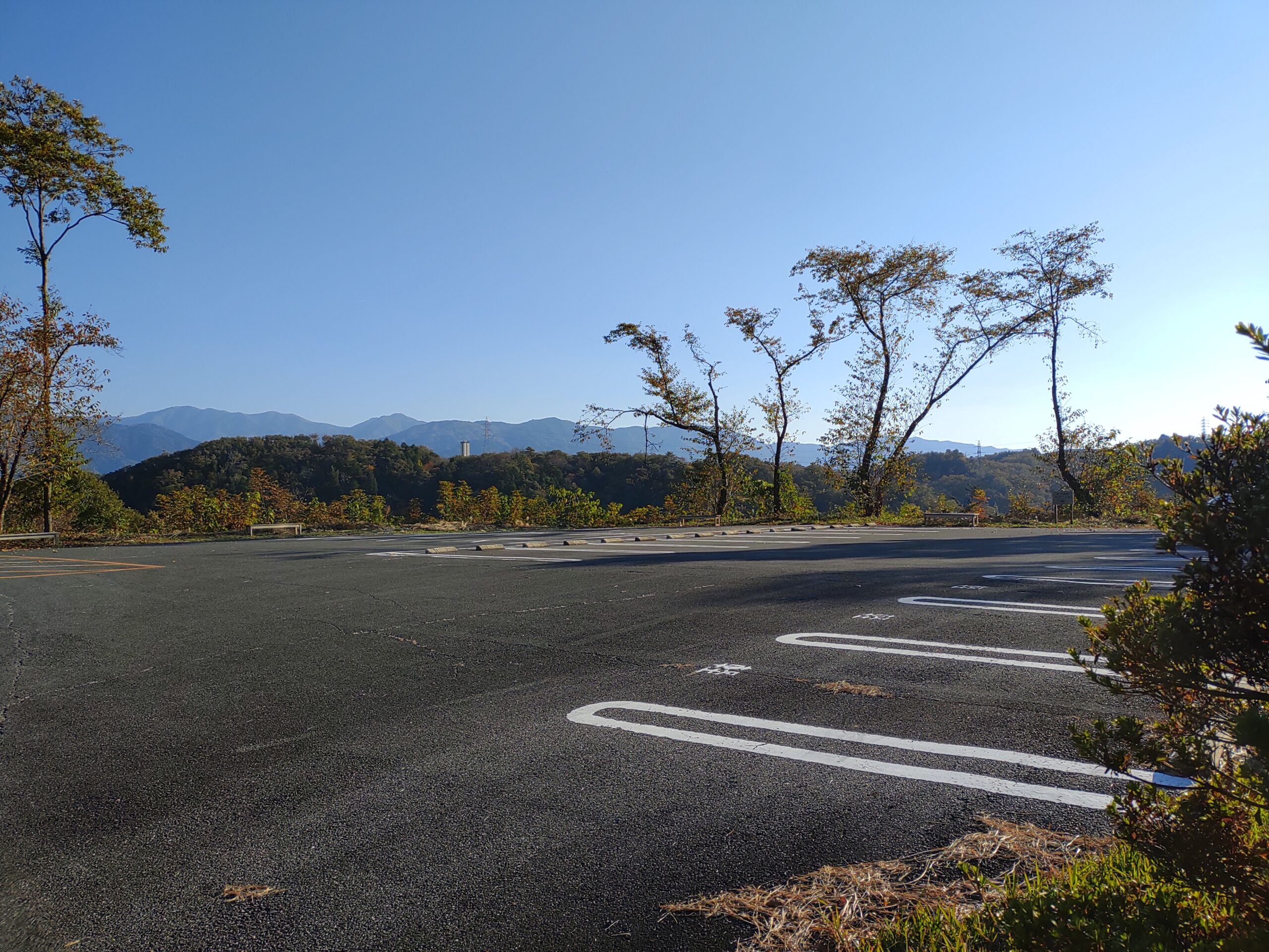 駐車地画像