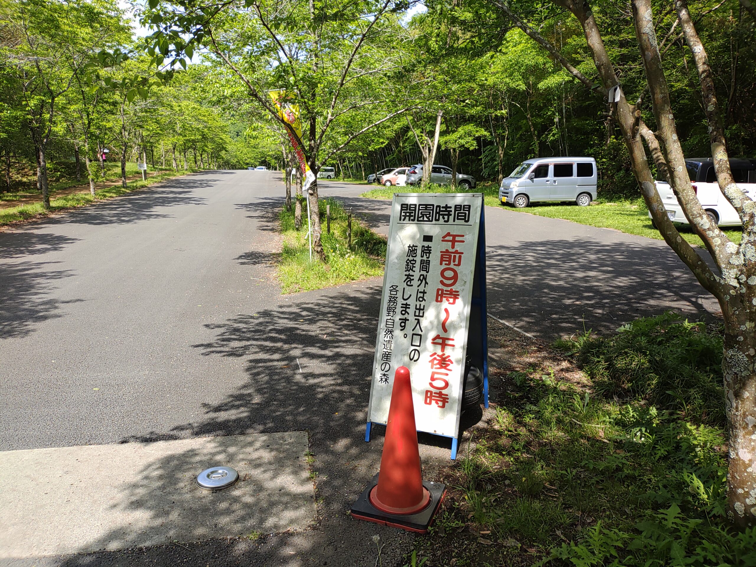 駐車地画像