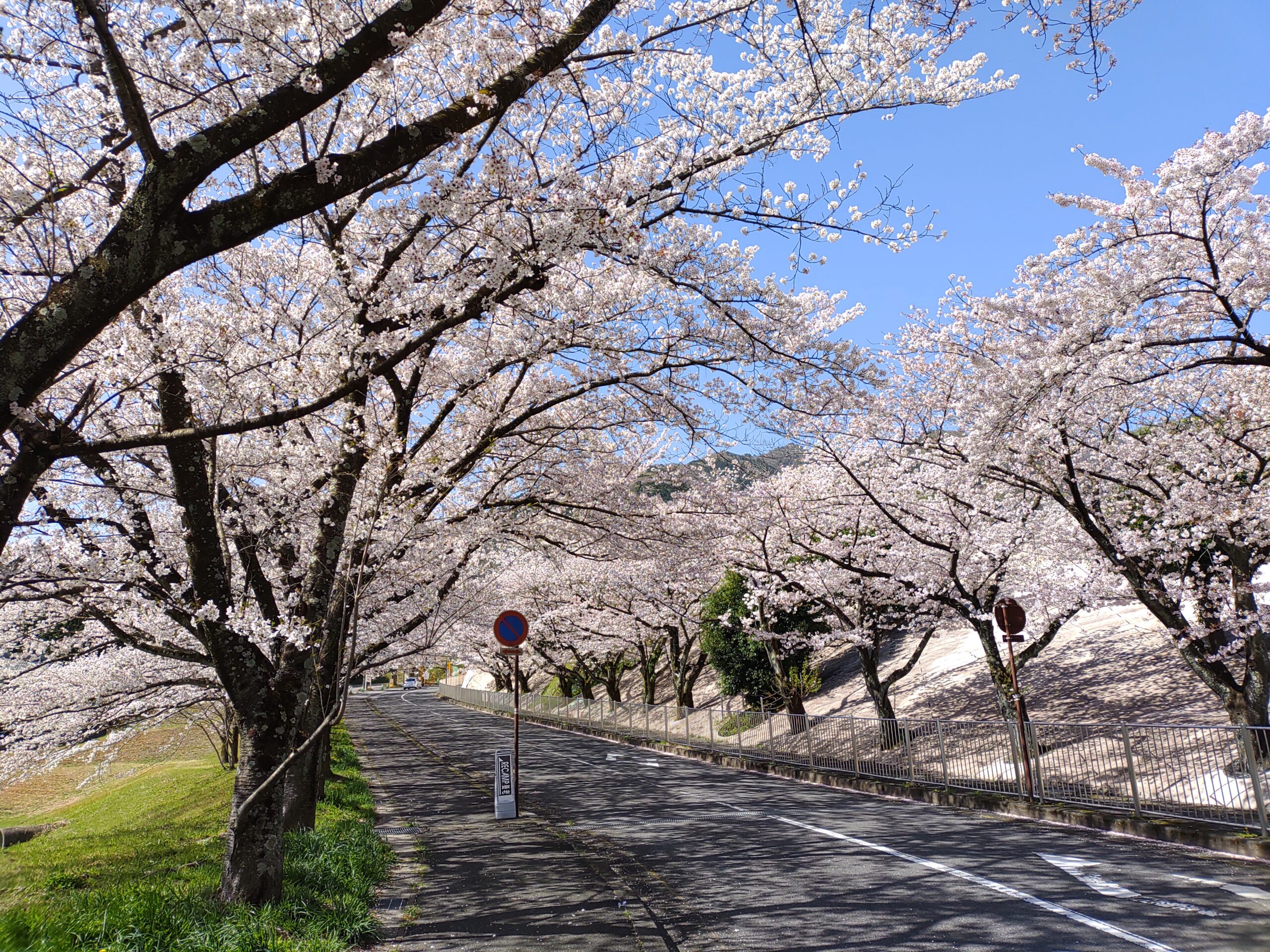 イチオシ画像スライダー1