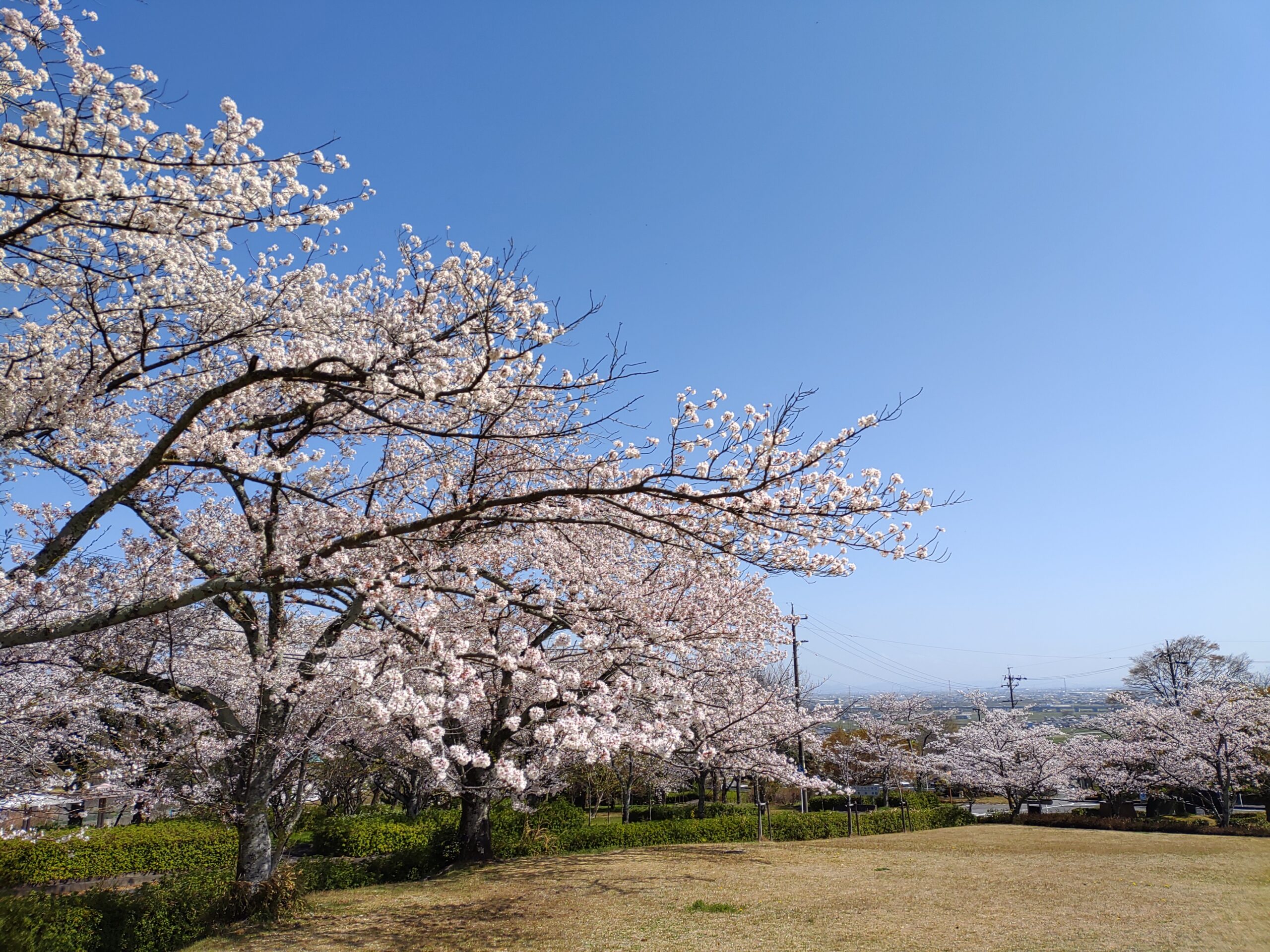 イチオシ画像スライダー2