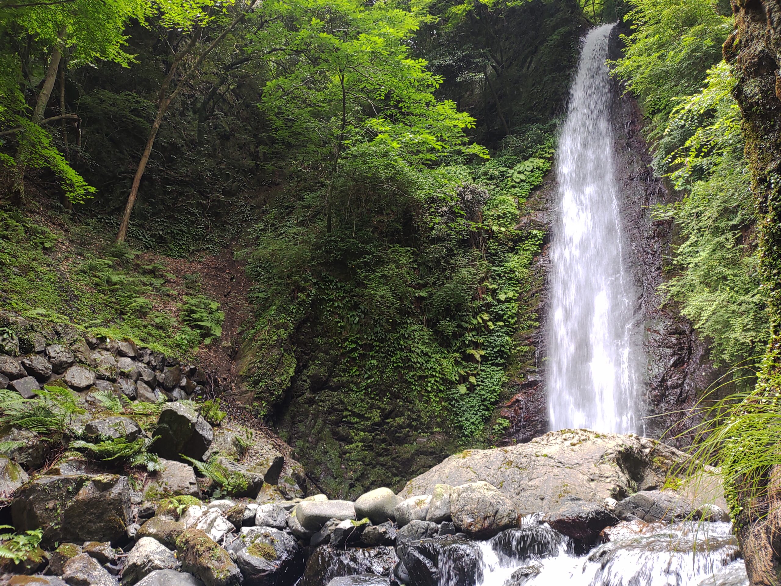 同地域の画像